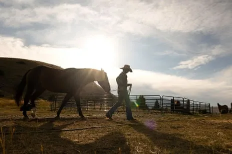 Meet the US Cowgirls Redefining Contemporary Farm Life