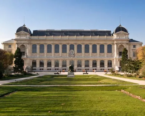 Priceless Gold Pieces Snatched in Audacious Robbery at France's National Institution